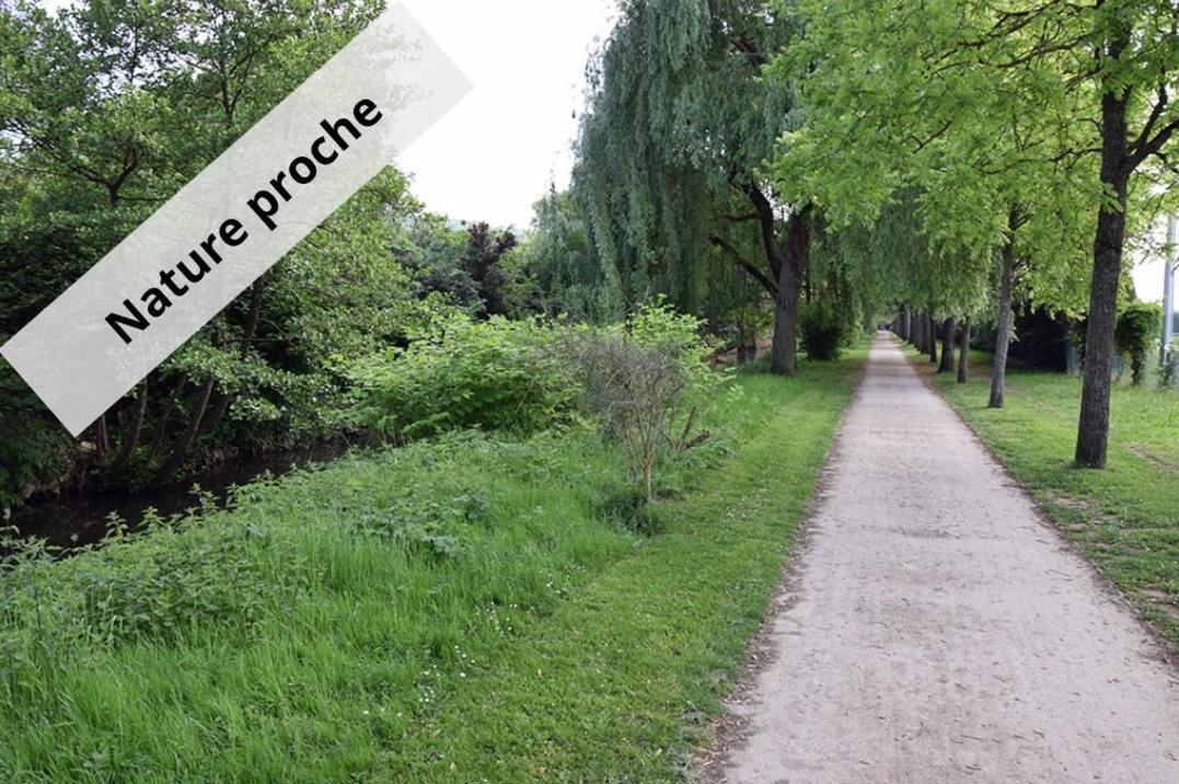 Cosy Neuf - Fibre - Parking Gratuit - Proche Ecoles Et Entreprises Apartment *